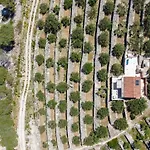 Sunny Nyaraló *