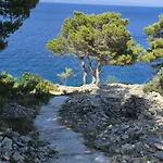 Sunny Vela Luka