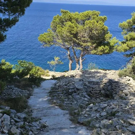 Sunny Vela Luka